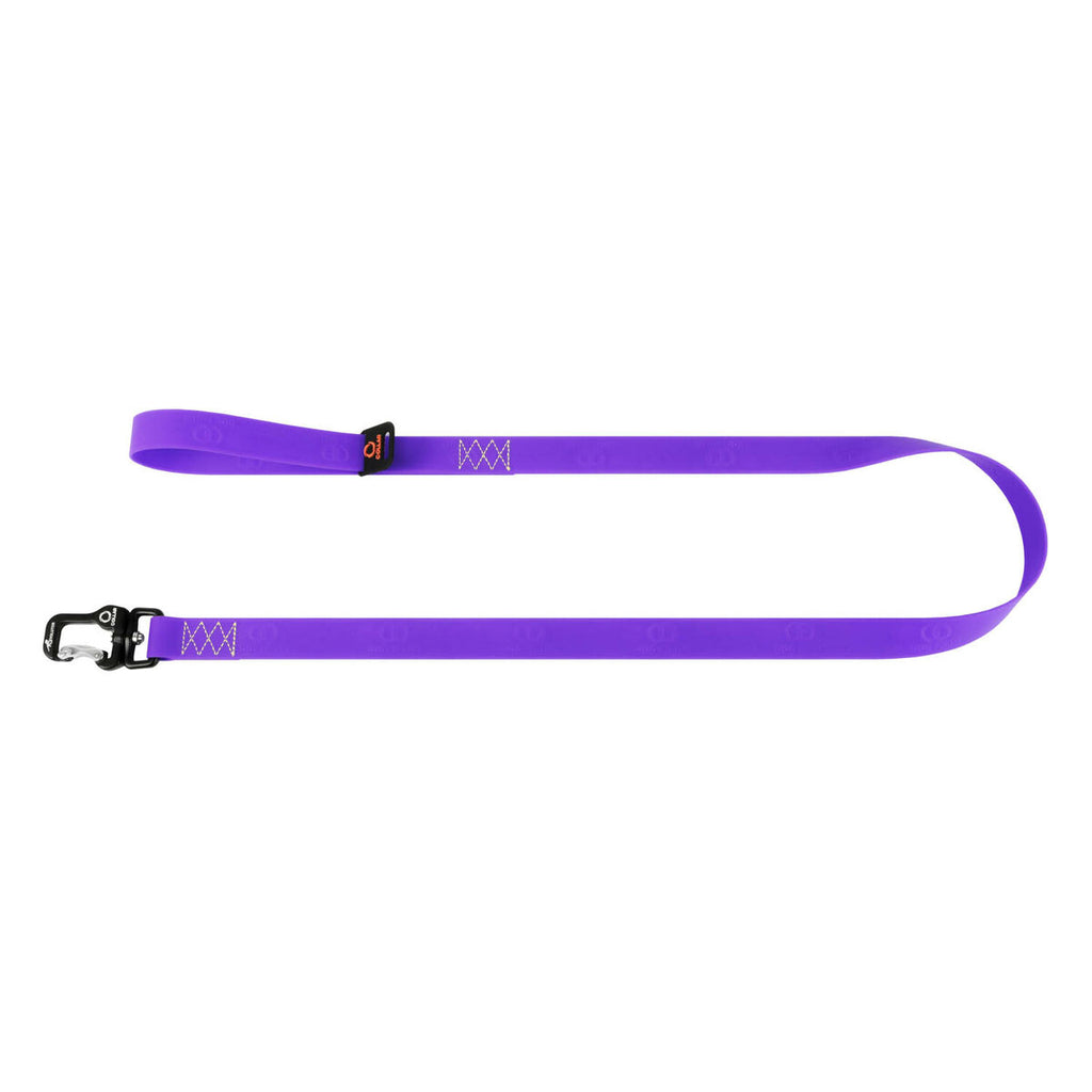 EVOLUTOR Dog Leash - Purple