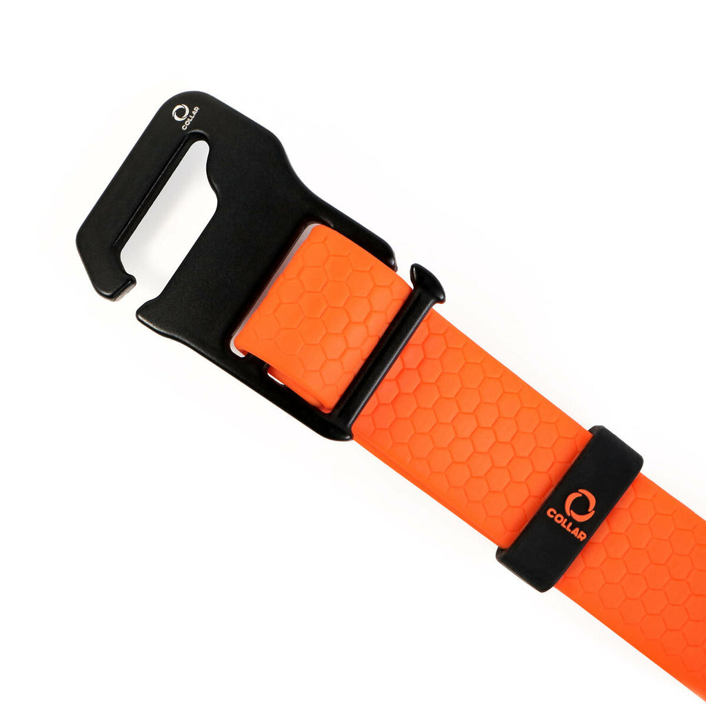 EVOLUTOR Adjustable Dog Collar - Orange