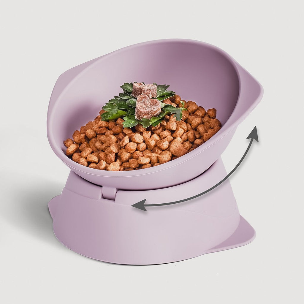 Erhöhter Silikon Katzennapf + mit verstellbarer Neigung