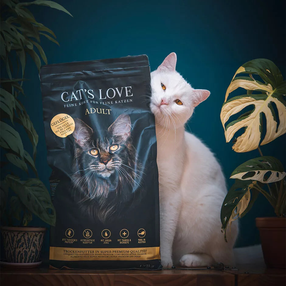CL Adult Poultry Dry Cat Food  Grain-Free & Hypoallergenic