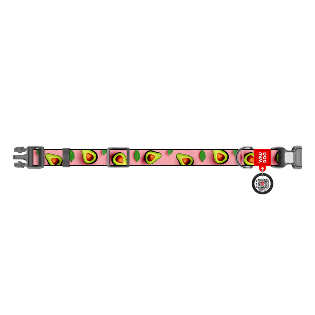 WAUDOG Nylon Dog Collar with QR Passport - Avocado on pink