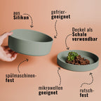 Pet Bowl – Silicone 3-in-1 with Lid