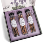 Juego de regalo de bienestar para gatos – Hierba gatera, spray de valeriana y palitos de matatabi