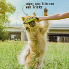 Frisbee para perros – Flotante de larga distancia