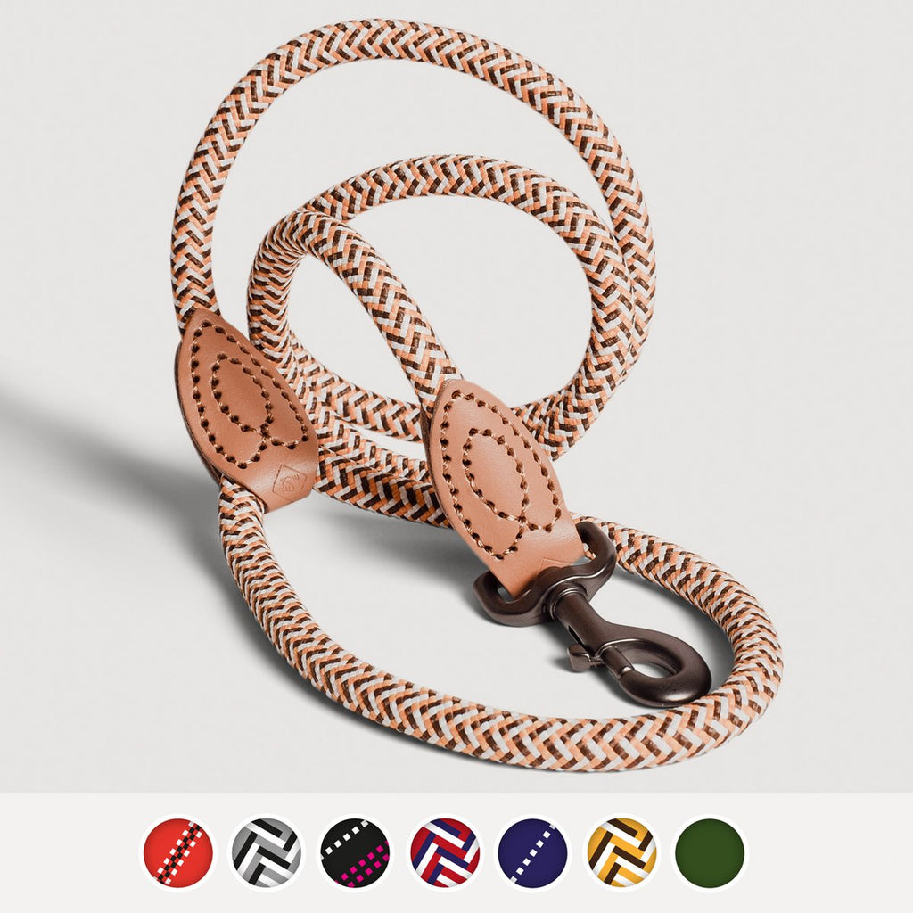 Correa de Cuerda para Perro – Estilo Urbano (120 cm)