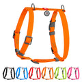 WAUDOG Waterproof Dog H-Harness with QR Passport - Orange