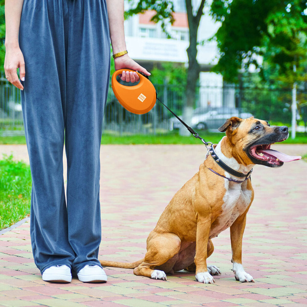WAUDOG Nylon Dog Leash - Orange