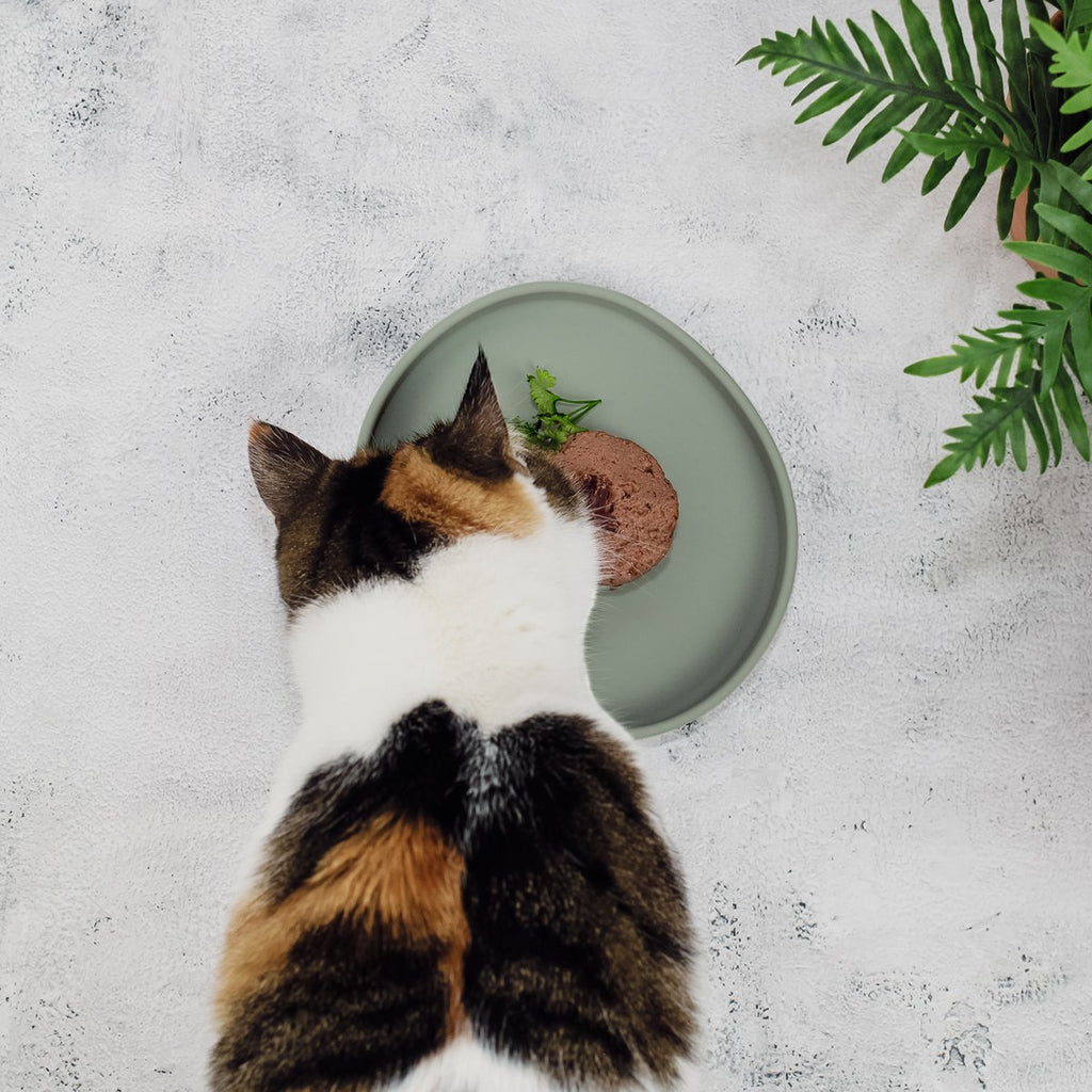 Cat Bowl – Silicone Shallow Whisker-Friendly