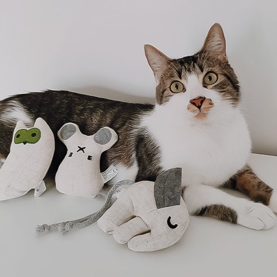 Juguetes para gatos con hierba gatera - Set rellenable (3 juguetes + 9 bolsas de hierba gatera)