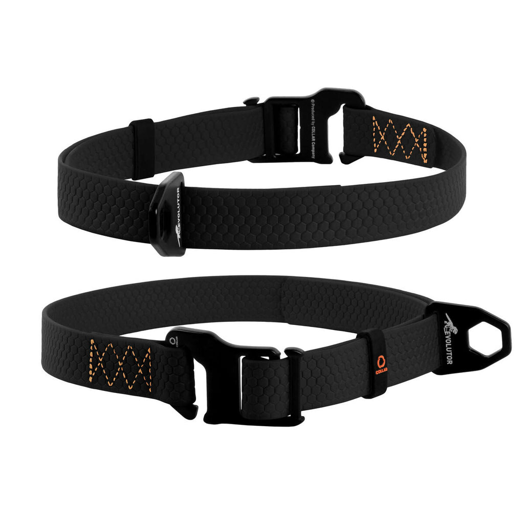 EVOLUTOR Adjustable Dog Collar - Black