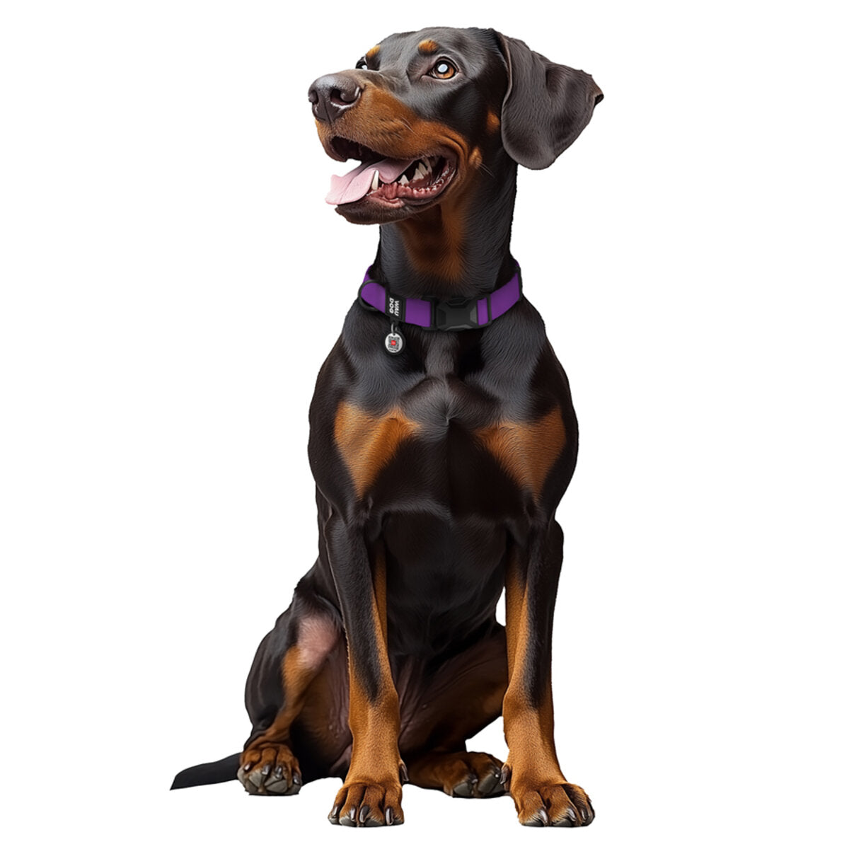 WAUDOG Magnet Dog Collar with QR Passport - Purple