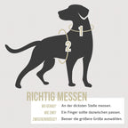 Hundegeschirr – stoßdämpfend