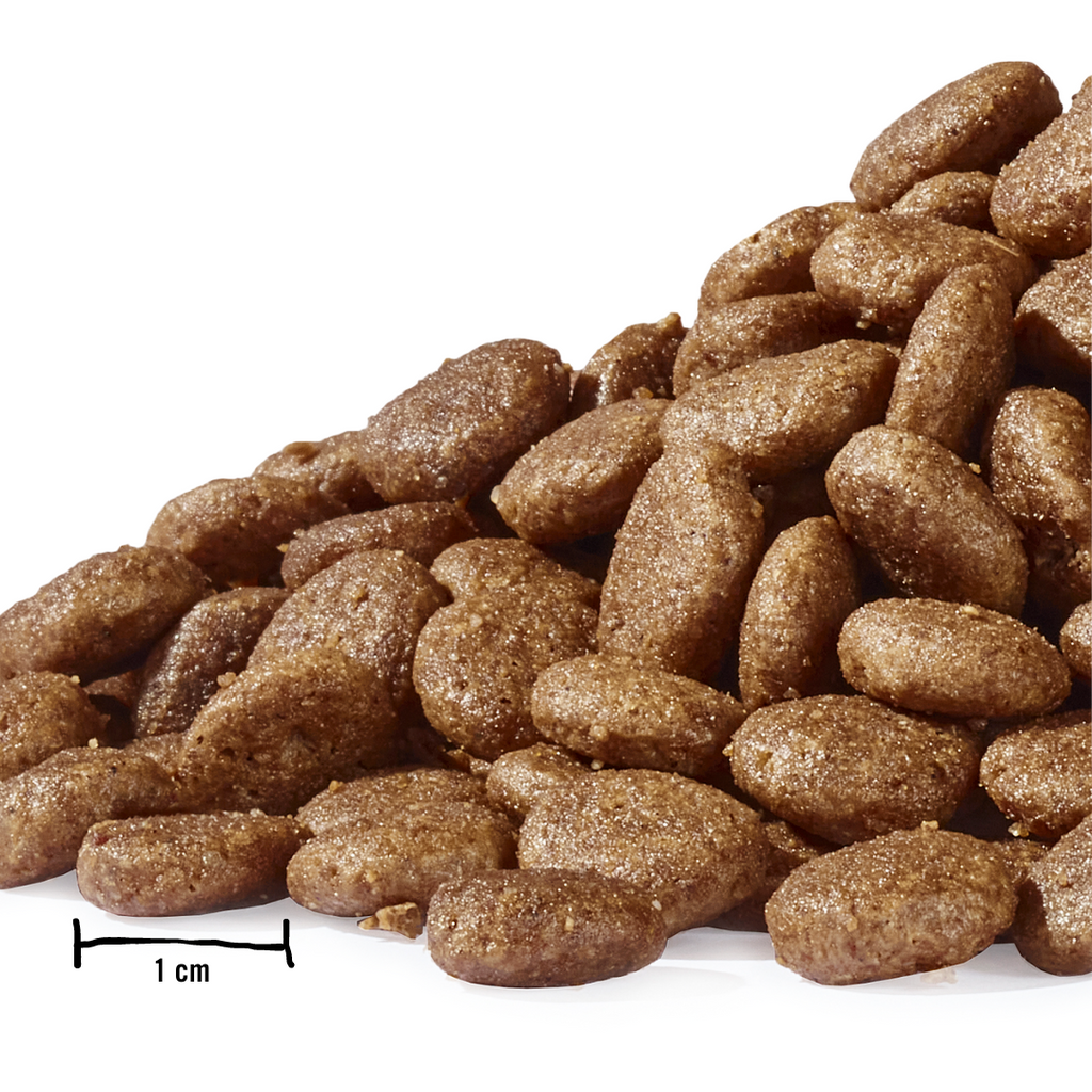 Dogs’n Tiger Adult Premium Katzenfutter, Trockenfutter, Getreidefrei, Schlemmermäulchen, Truthahn & Lachs