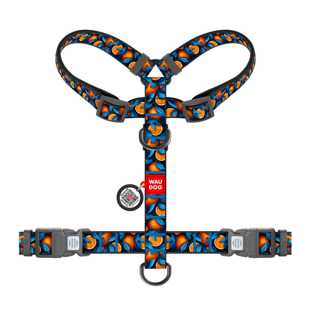 WAUDOG Nylon Dog H-Harness with QR Passport - Oranges