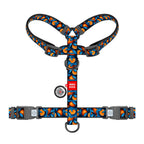 WAUDOG Nylon Dog H-Harness with QR Passport - Oranges