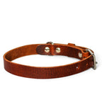 Hundehalsband aus Leder – Braun