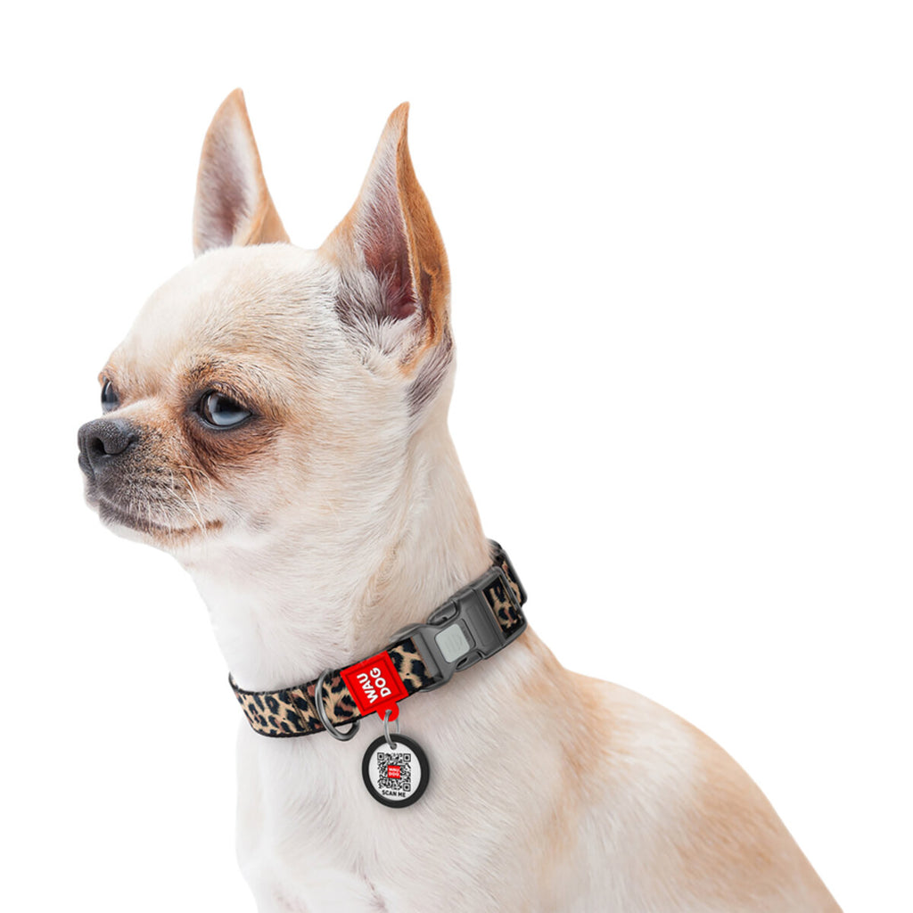 WAUDOG Nylon Dog Collar with QR Passport - Leopard