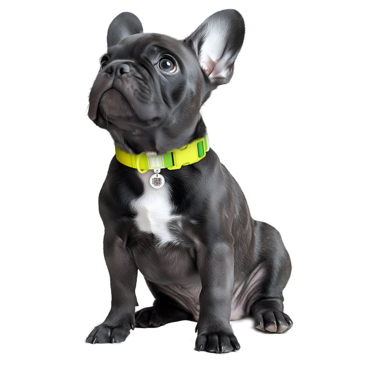 WAUDOG Nylon Dog Collar with QR Passport - Gradient - Light green