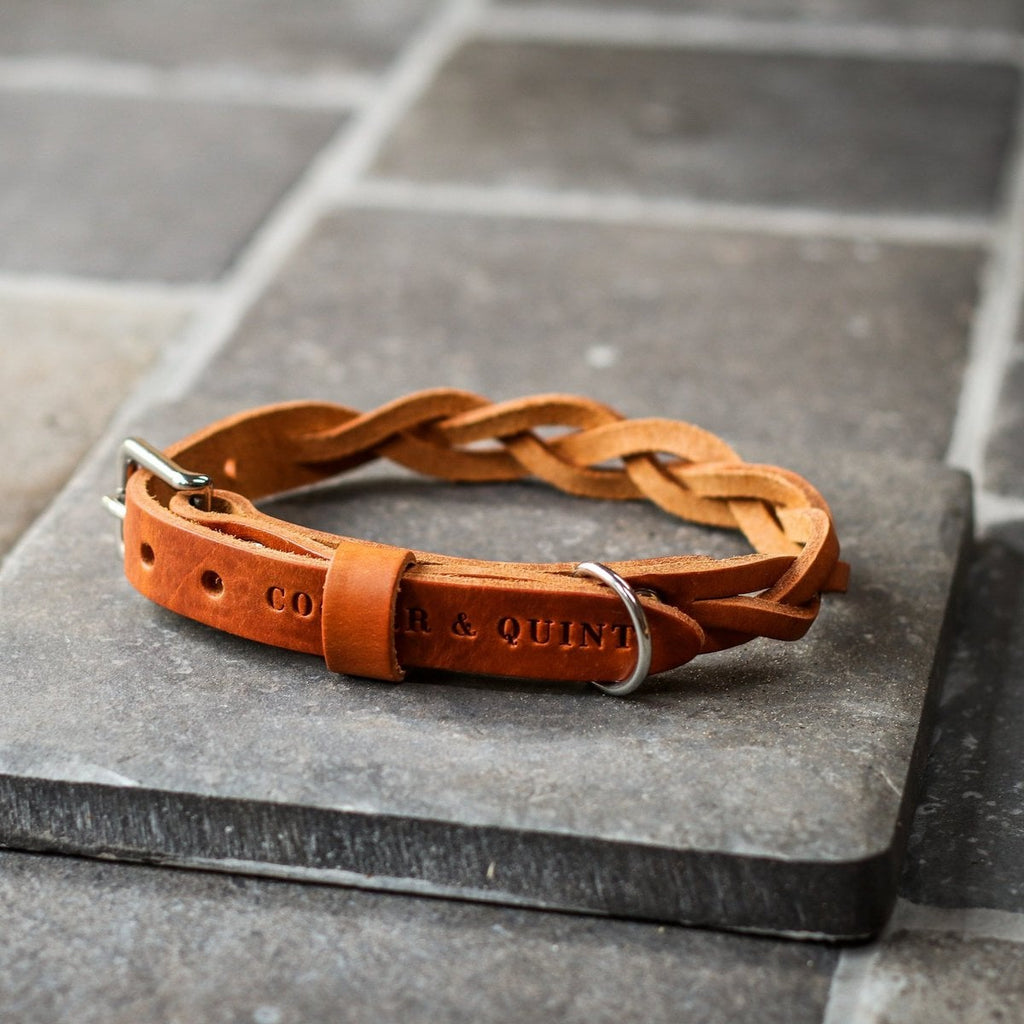 Gedrehtes Hundehalsband – Kamelfarbe
