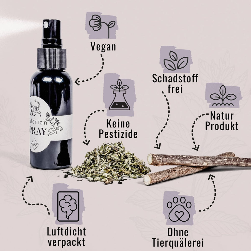 Juego de regalo de bienestar para gatos – Hierba gatera, spray de valeriana y palitos de matatabi