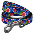 WAUDOG Nylon Dog Leash - Fig