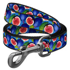 WAUDOG Nylon Dog Leash - Fig