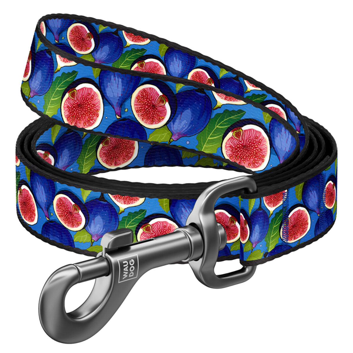 WAUDOG Nylon Dog Leash - Fig