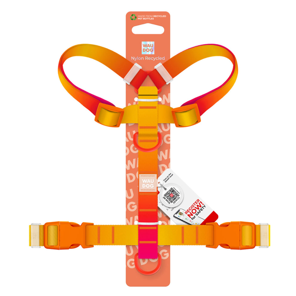 WAUDOG Nylon Recycled Dog H-Harness with QR Passport - Gradient - Orange