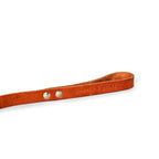 Hundeleine – Tau (Camel)