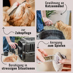 Juego de regalo de bienestar para gatos – Hierba gatera, spray de valeriana y palitos de matatabi