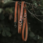 Verstellbare Hundeleine aus Leder – Camel