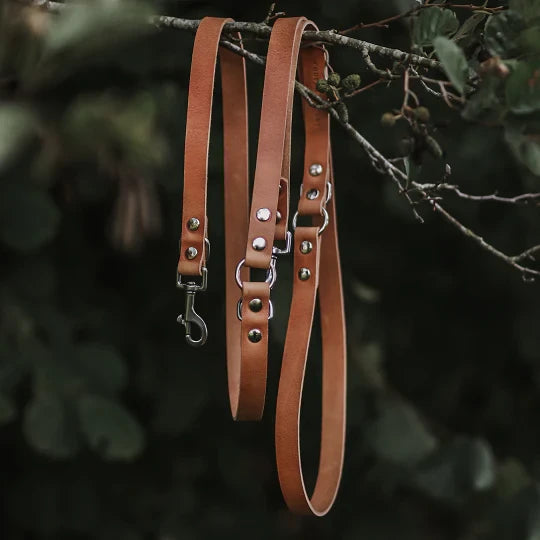 Verstellbare Hundeleine aus Leder – Camel