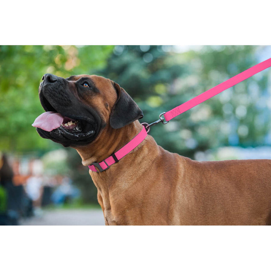 WAUDOG Waterproof Dog Leash - Pink