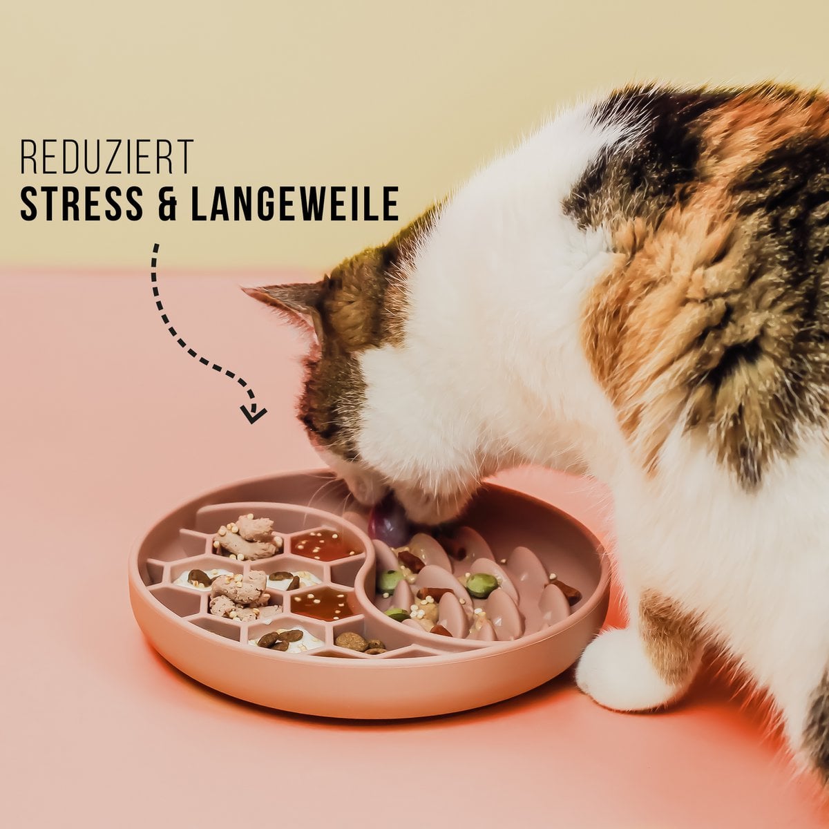 Anti-sling bowl for dogs and cats