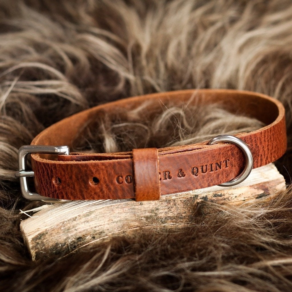 Hundehalsband aus Leder – Braun