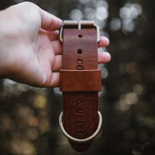 Breites Lederhalsband für Hunde – Dunkelbraun