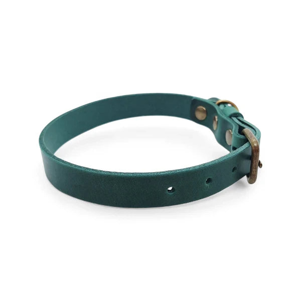 Hundehalsband aus Leder – Grün