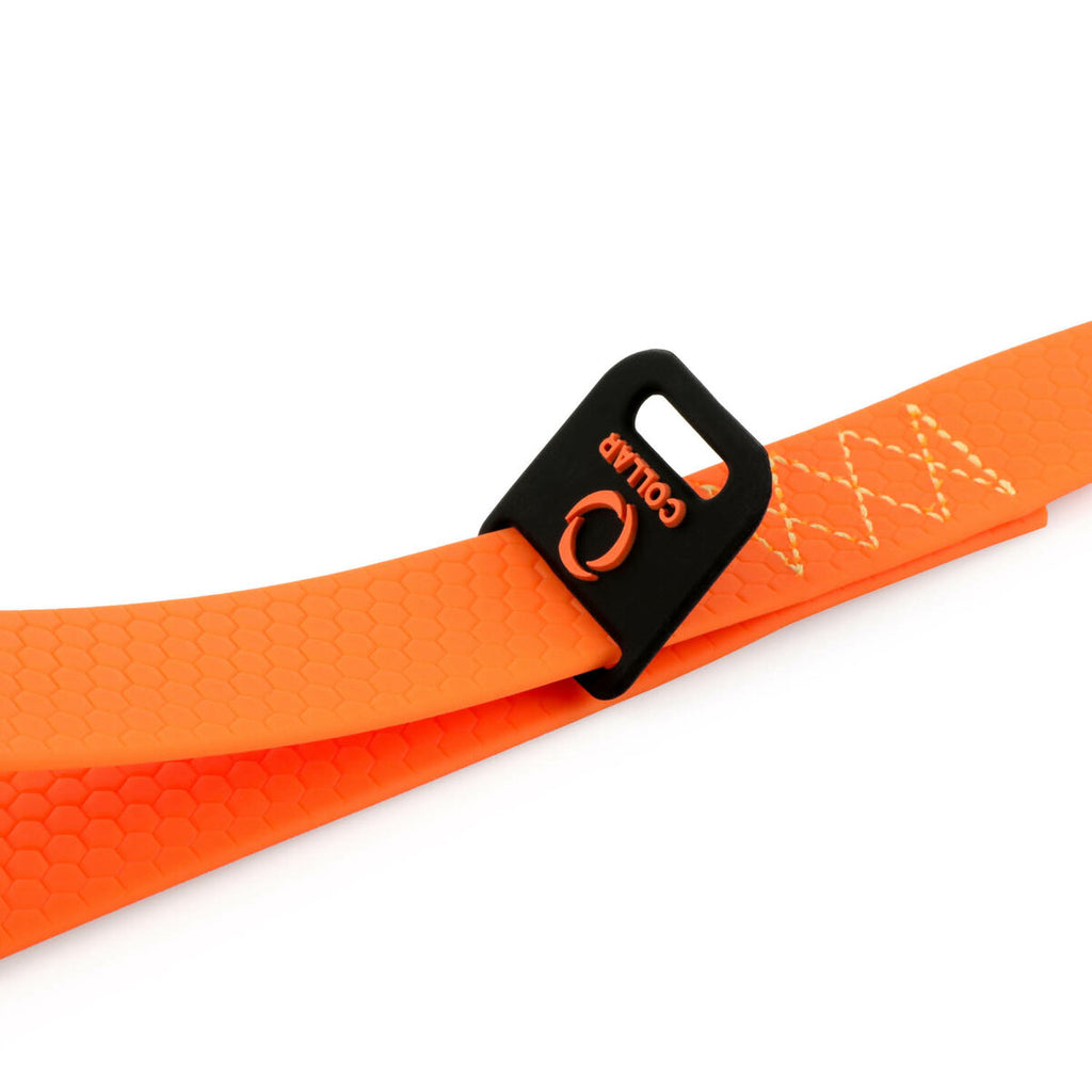 EVOLUTOR Dog Leash - Orange