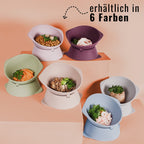 Erhöhter Silikon Katzennapf + mit verstellbarer Neigung