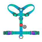 WAUDOG Nylon Recycled Dog Anatomic H-Harness with QR Passport - Gradient - Blue