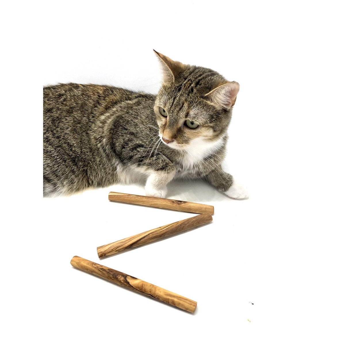 Olivenholz Kauholz Set (3er) – Natürliches Kauspielzeug für Katzen & kleine Hunde