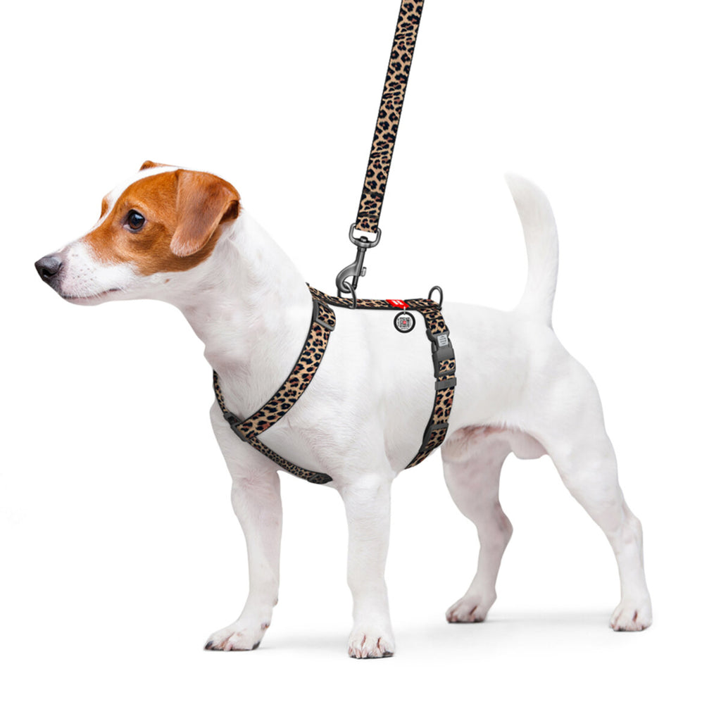 WAUDOG Nylon Dog Anatomic H-Harness with QR Passport - Leopard