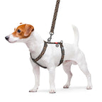WAUDOG Nylon Dog Anatomic H-Harness with QR Passport - Leopard