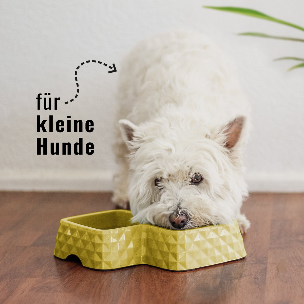 Bamboo Double Bowl for Cats & Small Dogs