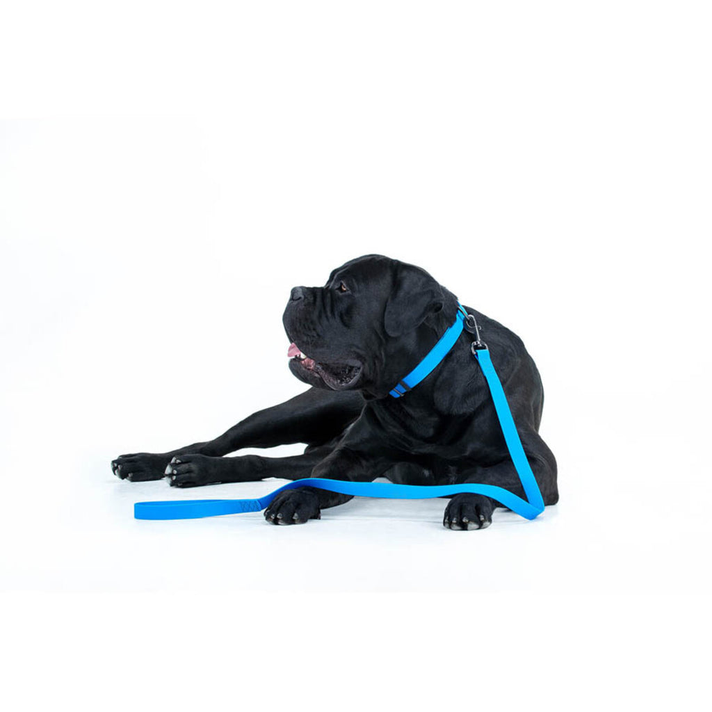WAUDOG Waterproof Dog Leash - Blue