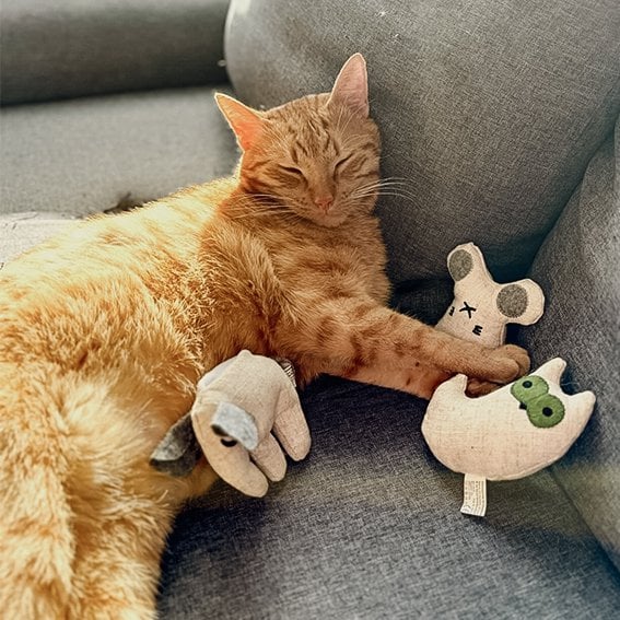 Juguetes para gatos con hierba gatera - Set rellenable (3 juguetes + 9 bolsas de hierba gatera)