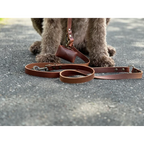 Verstellbare Hundeleine aus Leder – Braun