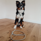 Schlupfhundleine mit integriertem Halsband