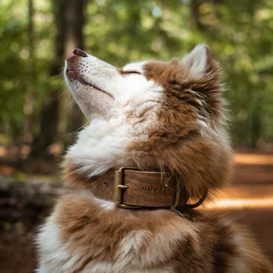 Collar de arcilla – Piedra llamativa