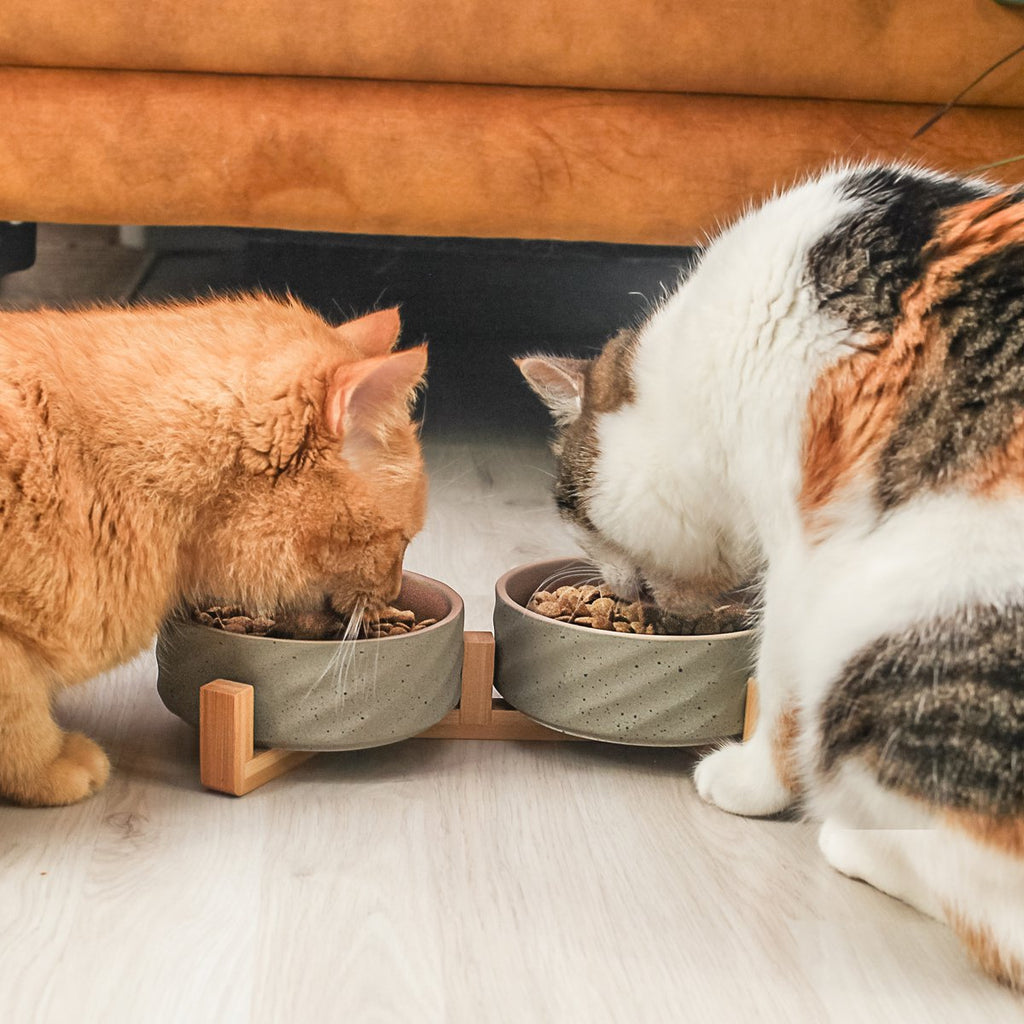 Ceramic double -food bowl with bamboo tap i 2er